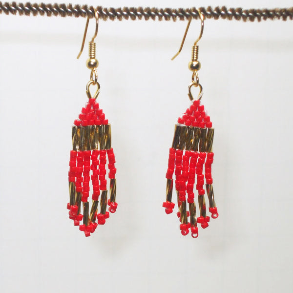 Fayre Indian Fringe Earrings front relevant view